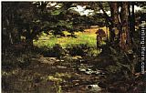 Theodore Clement Steele Canvas Paintings - Brook in Woods